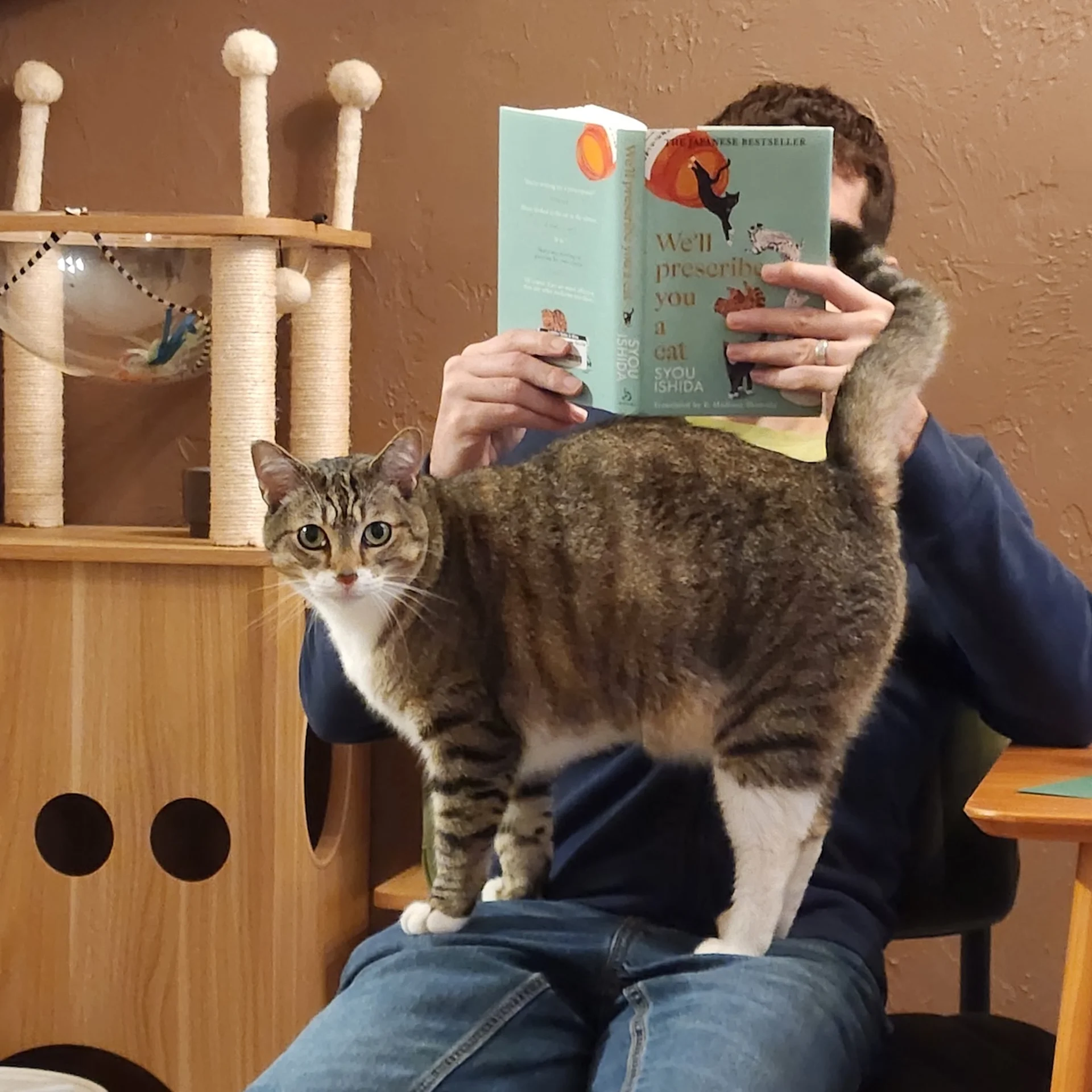 Alex Rindone reading with cat Hughie on his lap