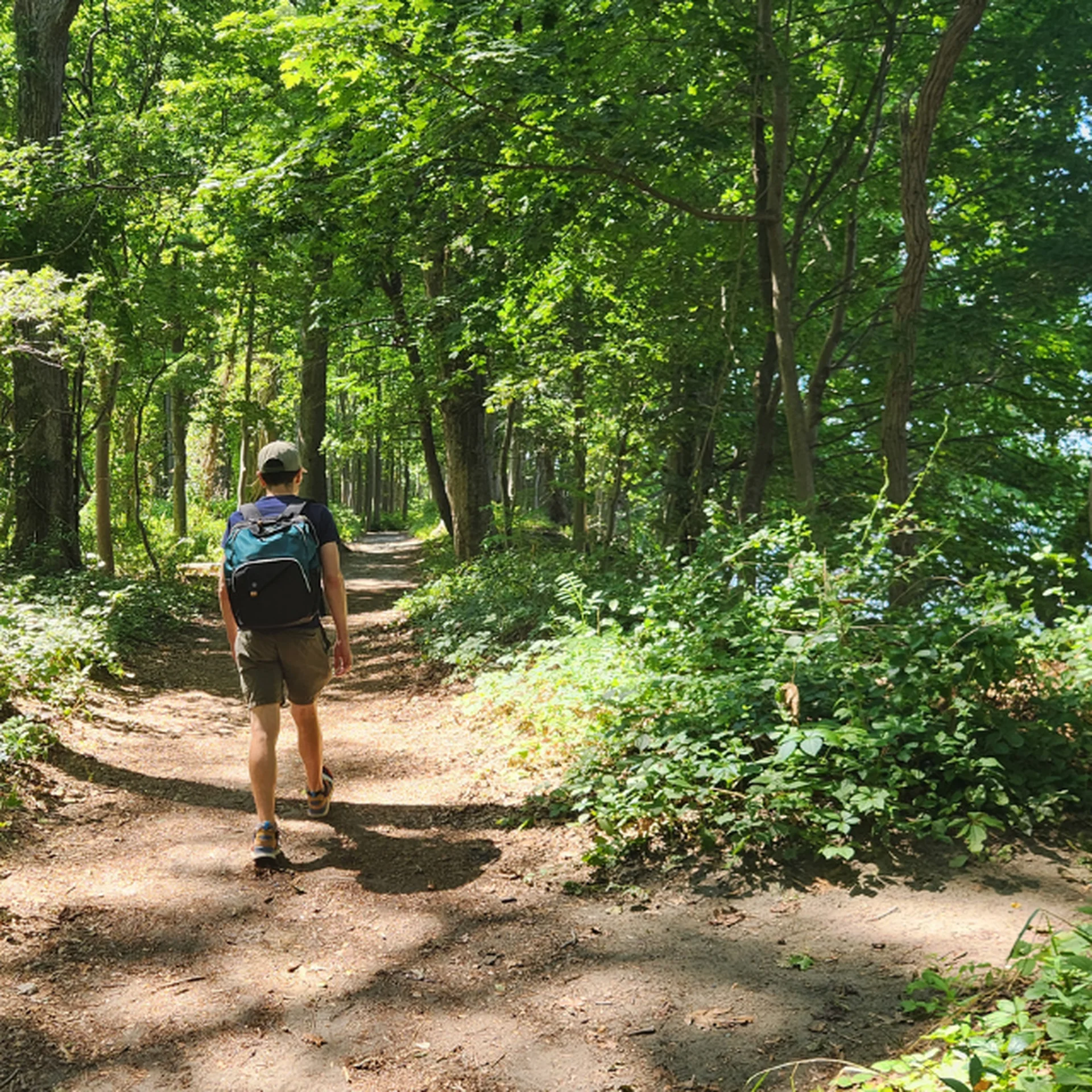 Alex hikes a forested trail in Rhode Island, choosing one path versus the other
