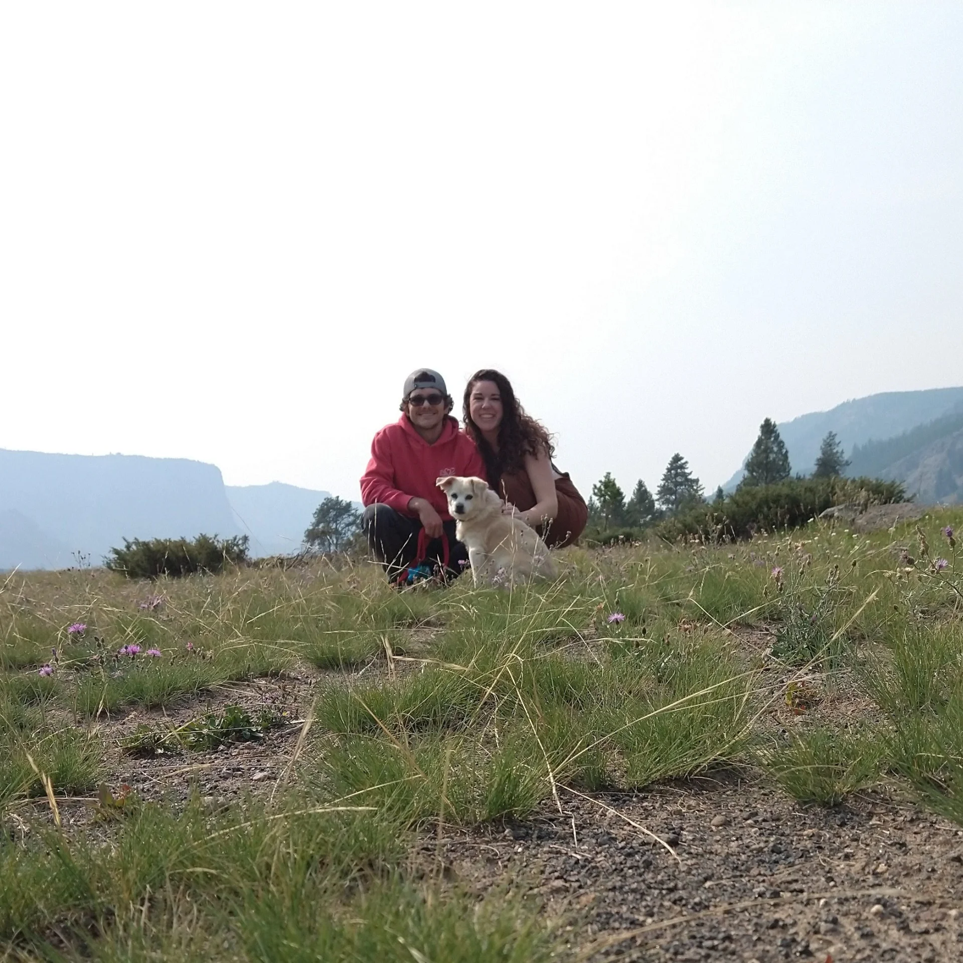 Alex and Paige sit in an open field of Yellowstone National Park with their dog Bandit