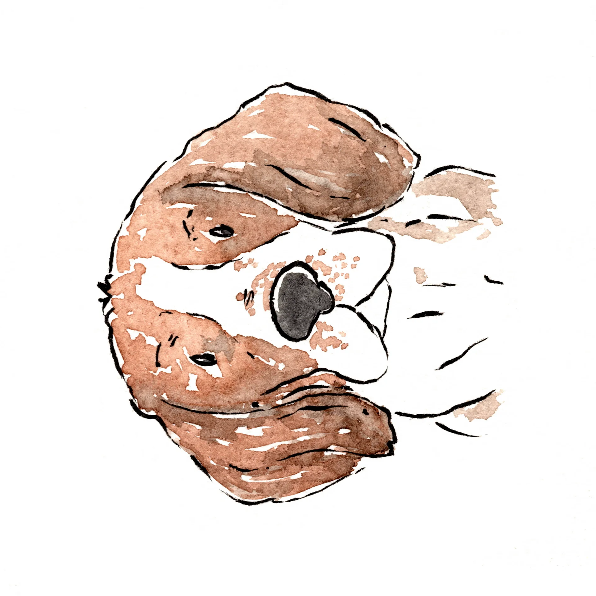 4x4 - Custom Whimsical Pet Portrait - 1 Pet view 3